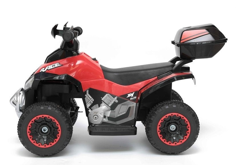 Kids Ride on Quad