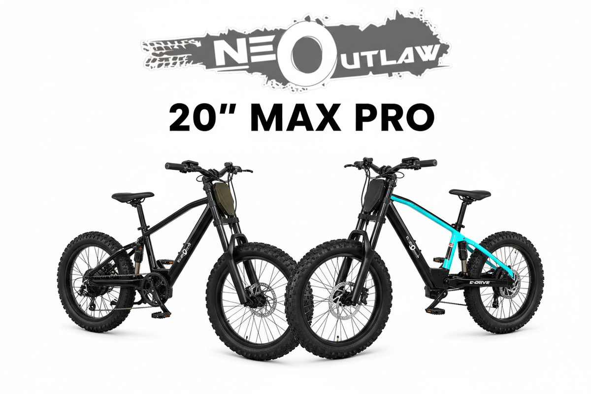 Neo Outlaw Max Pro 20" - Black & Blue