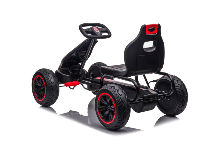 6 year olds go kart