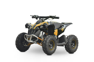 Quad Bike for 10 years old