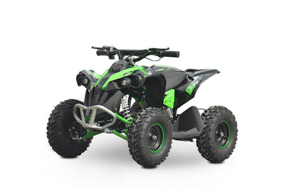 kids mini quad