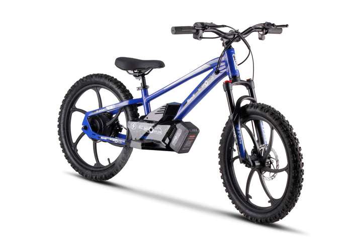 Electric bike 7 years