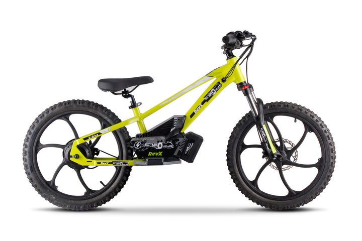 Green 36v electric Bike for kids