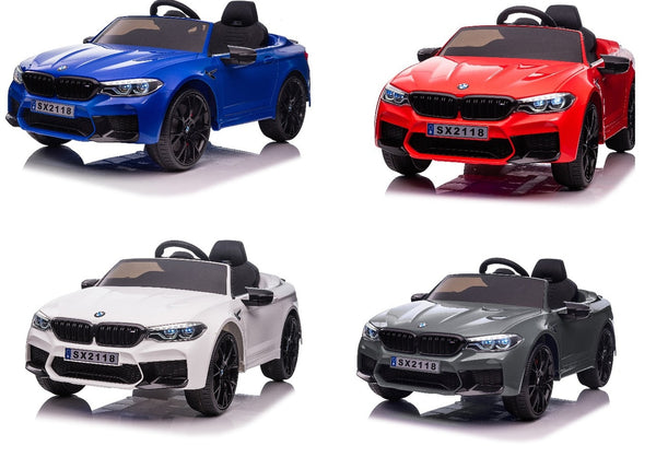 all BMW sx2118