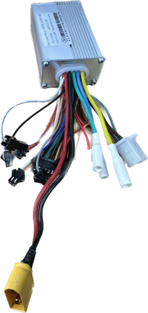 hp154 brain