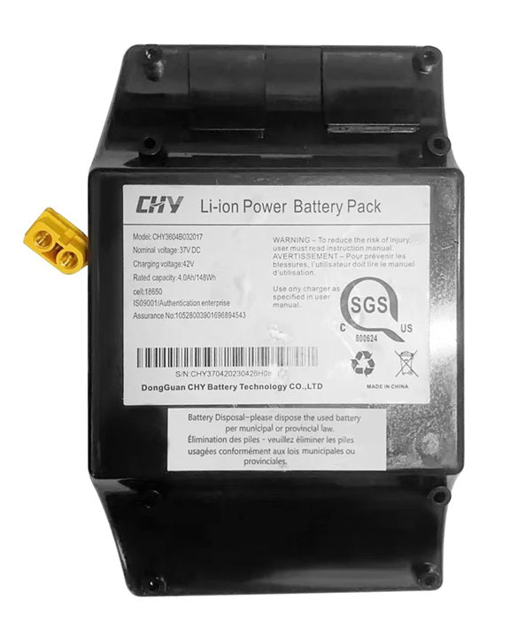 replacement hoverboard battery