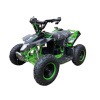 1000w electric quad for kids