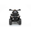 Quad Bike for kids