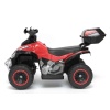Kids Ride on Quad