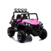 S2588 PINK BUGGY 2