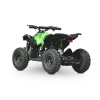 Electric Quad Bike