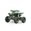 kids mini quad