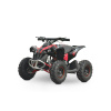 Electric Quad for 11 year olds