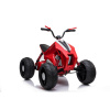 LARGE KIDS QUAD BIKE