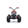 BLACK KIDS QUAD BIKE