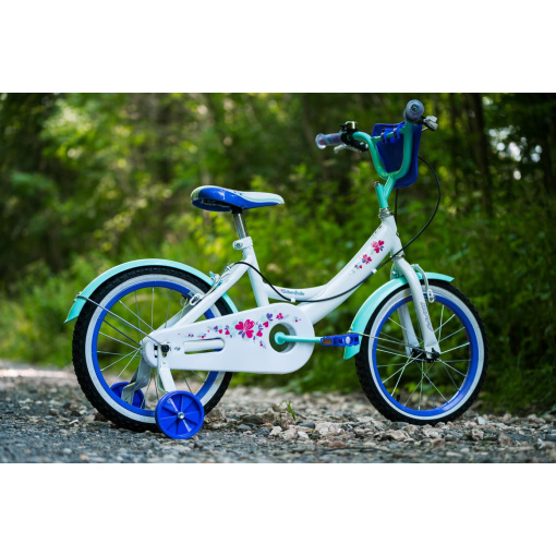 Girls Bicycle for 6 years old