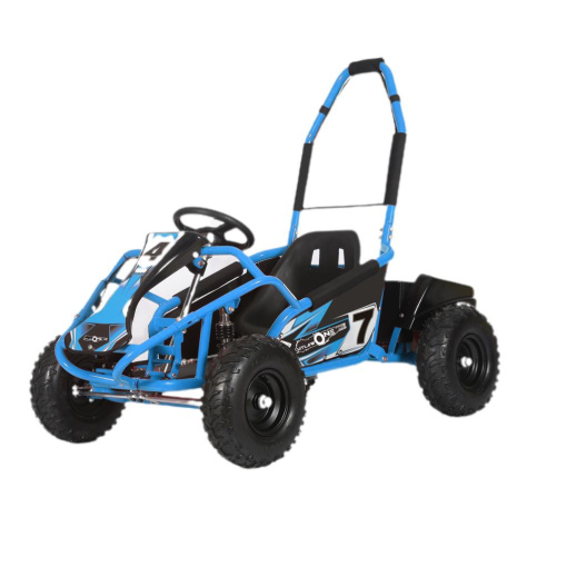 kids 1000 blue go kart