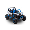 dls buggy