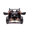 rid eon buggy for 2 kids