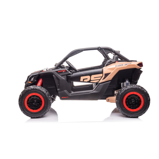 can-am fast buggy for 2 kids