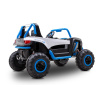 dls-x1 buggy boys