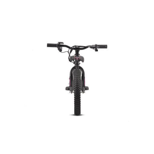 250W Electric Balance Bike