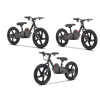 HP121E 16inch Electric Bike