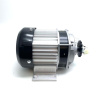 brushless motor for 1000w mud monster