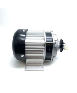 brushless motor for 1000w mud monster