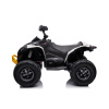 Can-Am Renegade 24v Electric Quad Bike