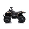 Quad Bike for older Kids