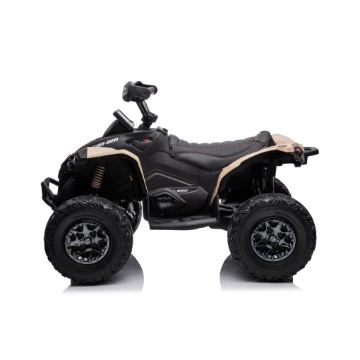 Quad Bike for older Kids