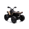 Best 24v Electric Quad Bike