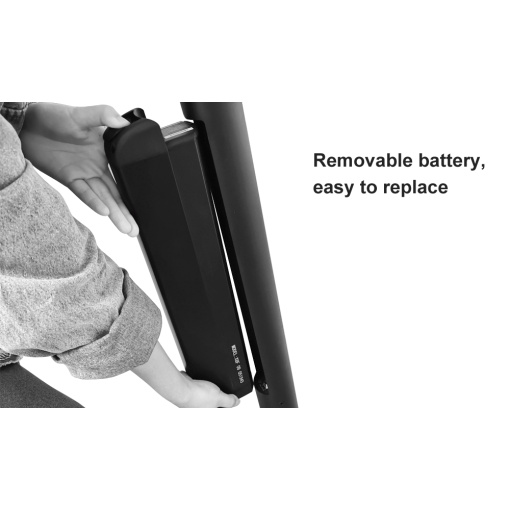 Removeable e scooter battery