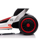 Zippy Kids Drift kart