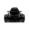 24v Electric Go Kart