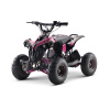 Neo Outlaw 1200w 48v electric quadbike