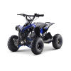 Neo Outlaw 1200w Blue Quadbike