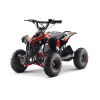 Neo Outlaw 1200w electric QuadBike