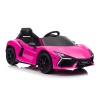 12v Electric Pink Ruevelto