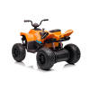 Quad Bike for 4 year old