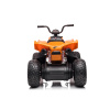 Quad Bike for 5 year old