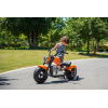 Electric Motorbike for Kids Ages 3-8 - 24V 36V