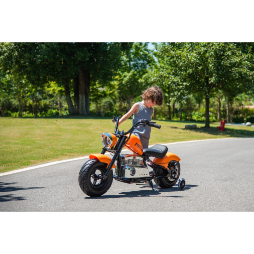 Electric Motorbike for Kids Ages 3-8 - 24V 36V
