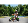 24V 36V Electric Motorbike for Kids - All Colors