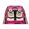 Girls Pink Lamborghini Sian Electric Ride On Car